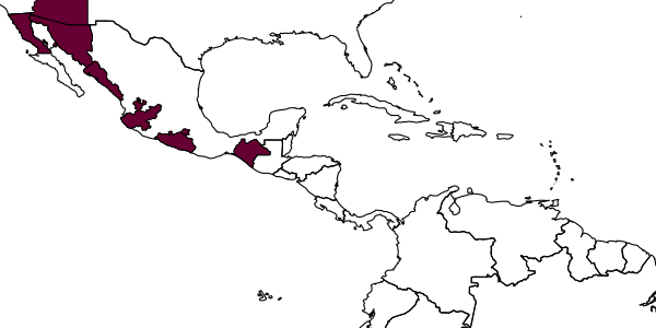 map of Liris evansi     Krombein & Gingras, 1984